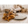 Play-go-tapis-de-jeux-coton-organic-kaki7