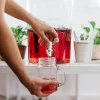 fiche-produit-hibiscus-3-600x600.png