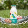 compo-lecoq-cooly-dino