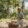 0010173_kuscheltier-fuchs-forest-friends-grs