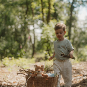 Little Dutch – Peluche Renard – Forest Friends