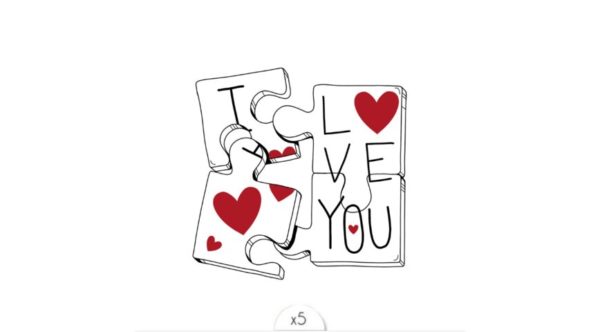 puzzle-ily-x5