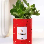 Styley – Plante grasse en pot – Je t&rsquo;aime