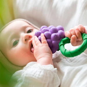Oli & Carol – Hochet bébé – Raisin