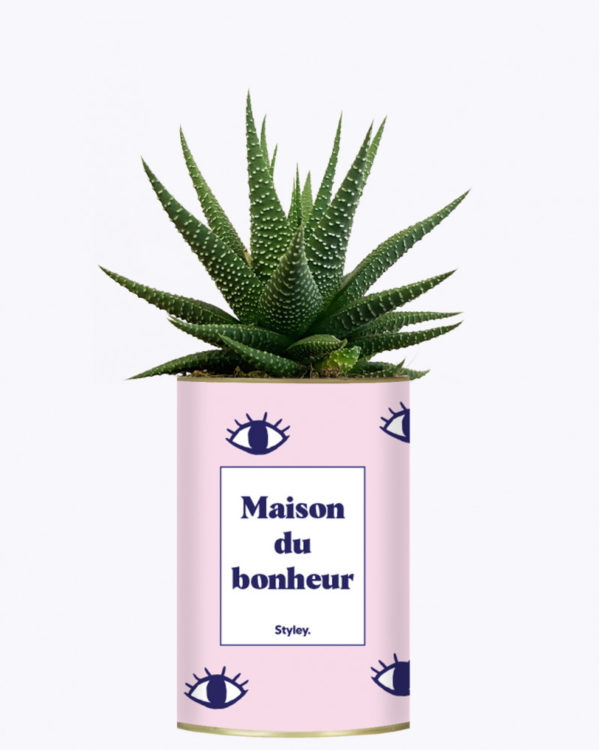 maison-du-bonheur-cactus