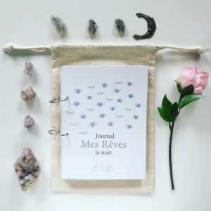 Let Me Fly – Journal de mes rêves