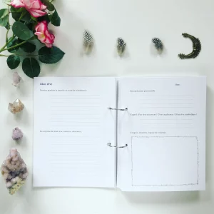 Let Me Fly – Journal de mes rêves