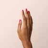 red_hibiscus_noire