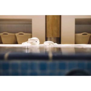 Oli & Carol – Orlando the octopus