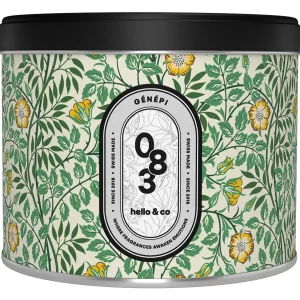 Hello Candle – Bougie métal – Génépi