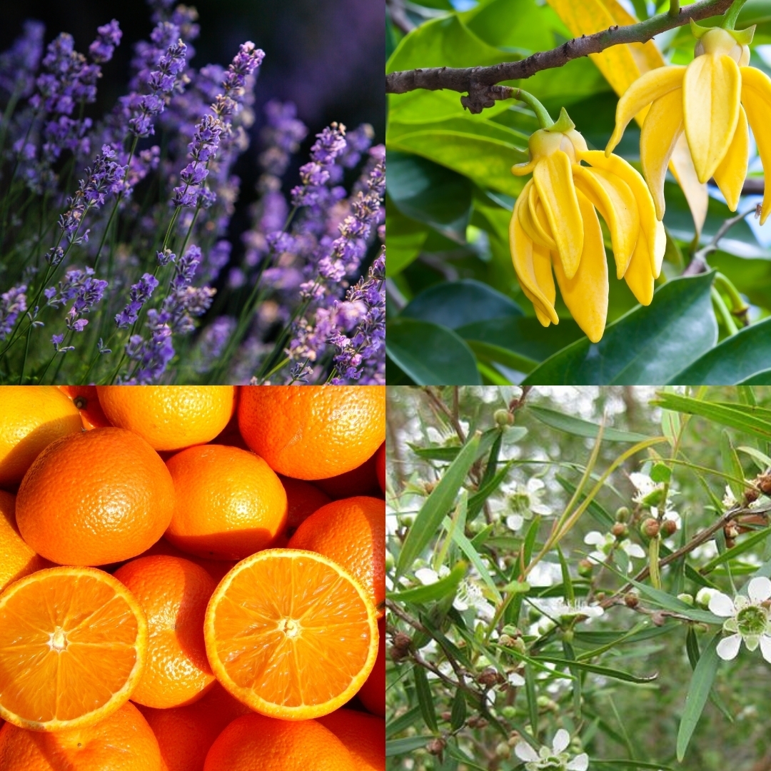 galets-de-douche-chill-time-2pcs3