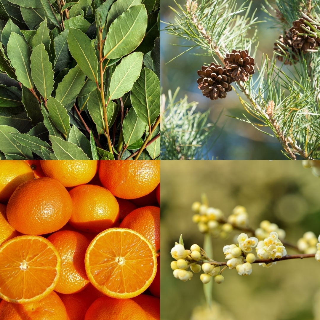 galets-de-douche-mood-boost-2pcs