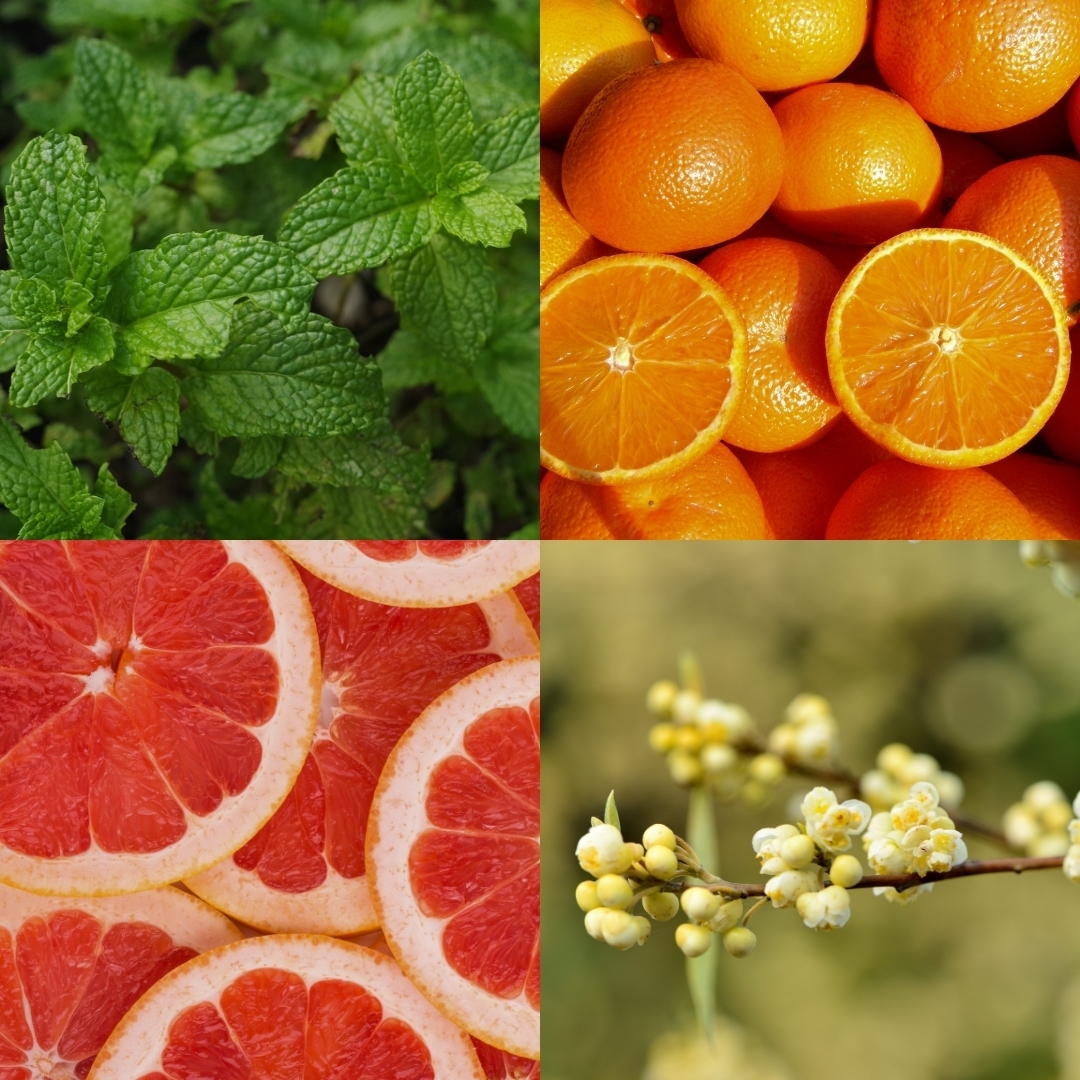 galets-de-douche-morning-zest-2pcs3