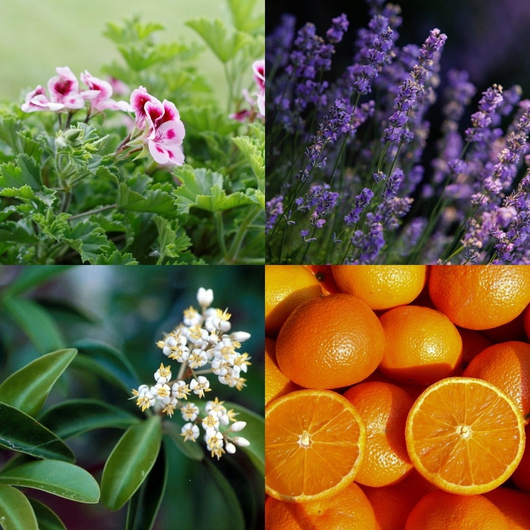 galets-de-douche-pure-love-2pcs3