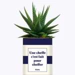 Styley – Plante en pot – Une cheffe c&rsquo;est fait pour cheffe