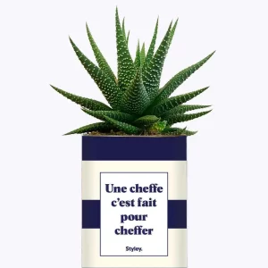 Styley – Plante en pot – Une cheffe c&rsquo;est fait pour cheffe