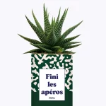Styley – Plante grasse en pot – Fini les apéros
