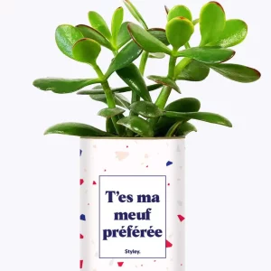 Styley – Plante grasse en pot – T&rsquo;es ma meuf préférée
