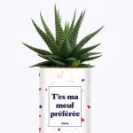 Styley – Plante grasse en pot – T&rsquo;es ma meuf préférée