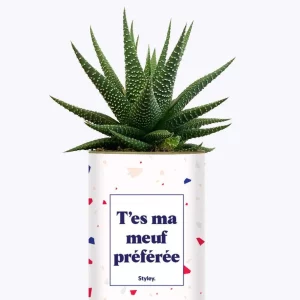 Styley – Plante grasse en pot – T&rsquo;es ma meuf préférée
