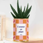 Styley – Plante en pot – L&rsquo;amour ça pique