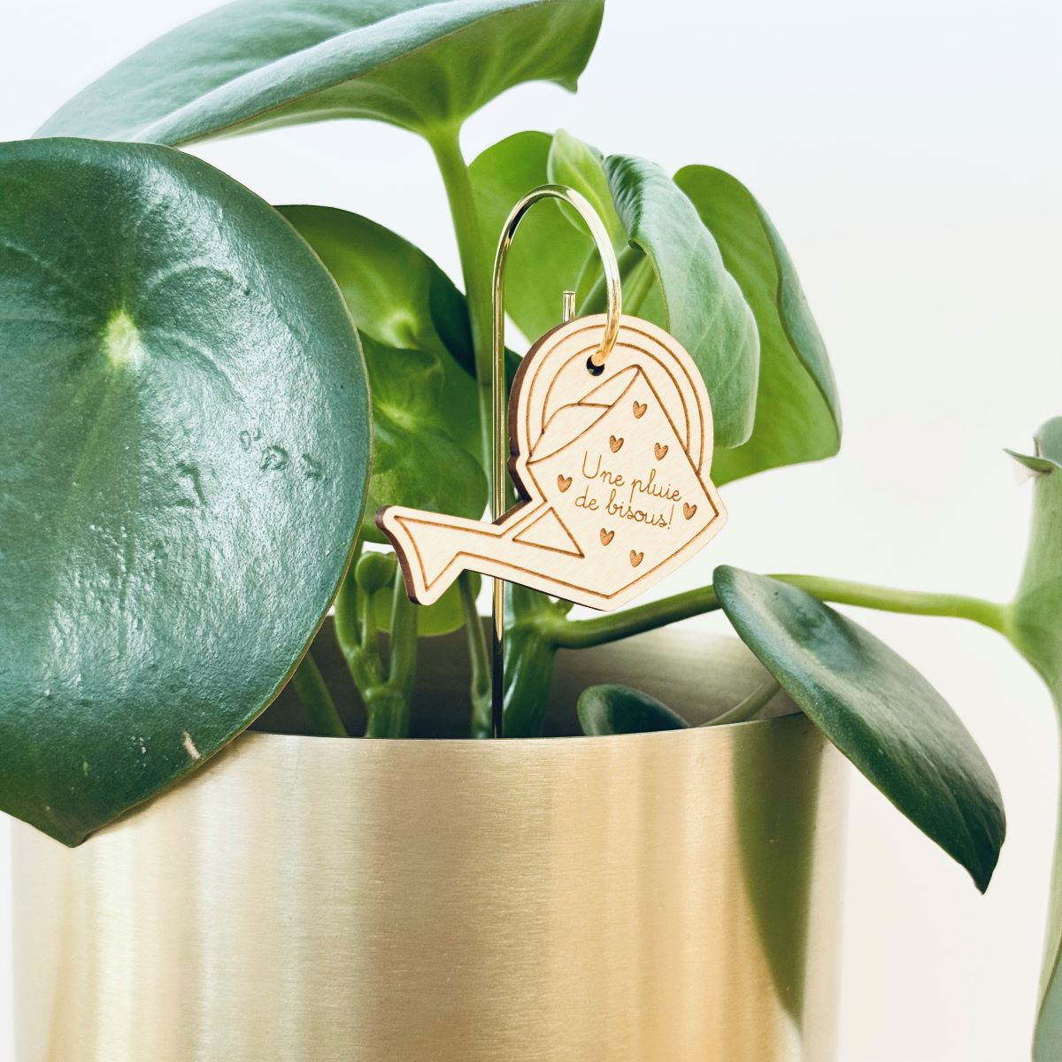 Pic-Botanique-Arrosoir-Les-Petites-Hirondelles-14