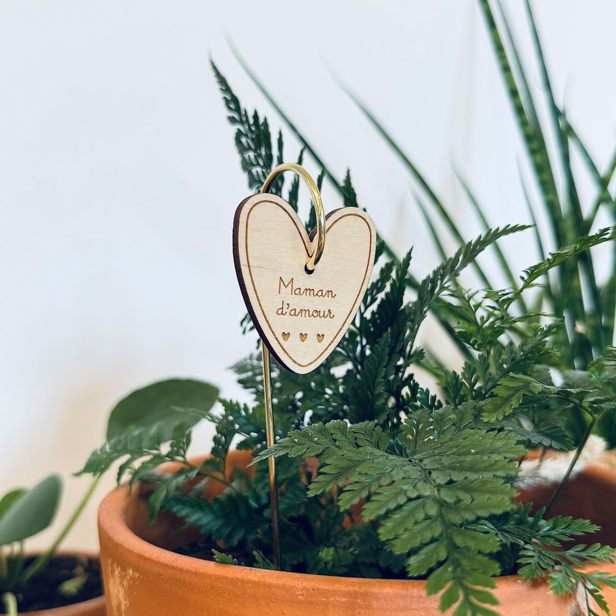 Pic-Botanique-Maman-Damour-Les-Petites-Hirondelles-2