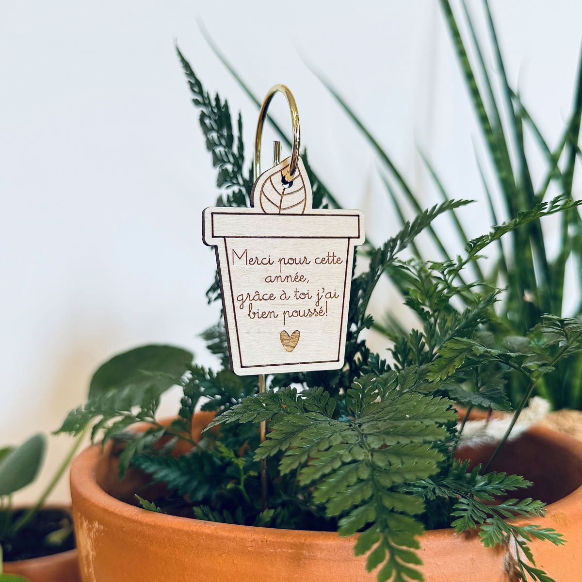 Pic-Botanique-Merci-Pour-Cette-Annee-Les-Petites-Hirondelles-8