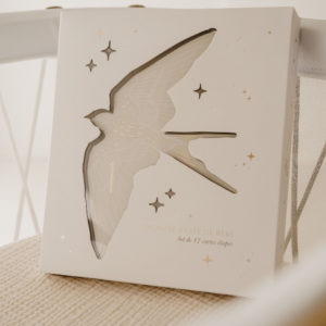 Zakuw – Cartes étapes – Birds