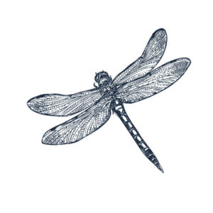 Sioou – Tatouage éphémère – Libellule